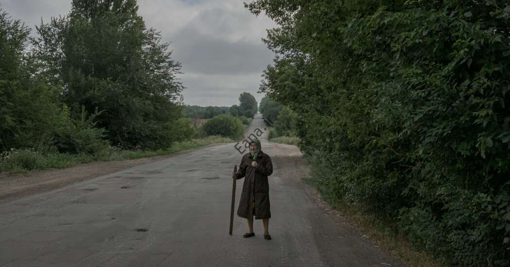 نظر |  پنج قانون برای دنیای پیری